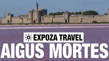 When was Aigues-Mortes built?