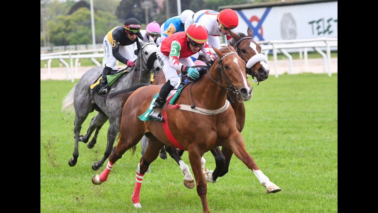 Gran Celestial y un regreso perfecto en el Handicap Jerry Honor