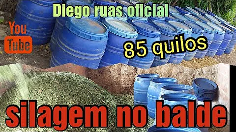 Como fazer silagem de capim no tambor?