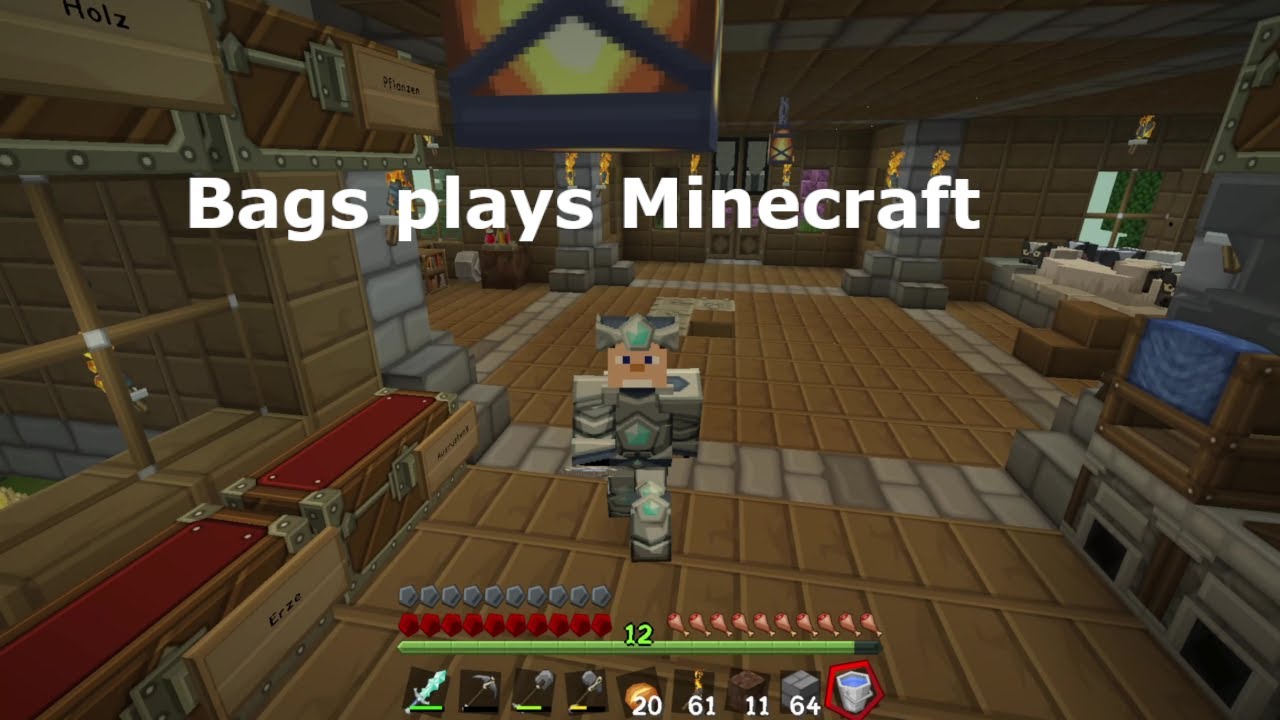 Danke für 51 Abonnenten!&Neue Projekte! -Bags plays Minecraft #7