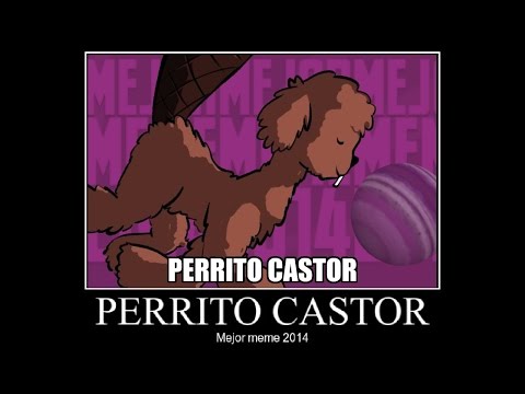 Mejor meme 2014