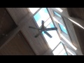 52" Emerson Summer Night &amp; Sea Breeze Ceiling Fans at Two Different Hotel Pools