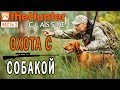 theHunter Classic #2 СТРИМ 🐶 - Охота с Собакой