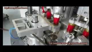 Fully Automatic Bottle Cap Assembling Machine Profile