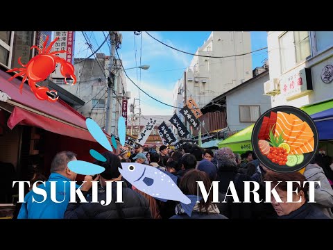Tsukiji Fish Market, Tokyo. Walking Tour. 4K.