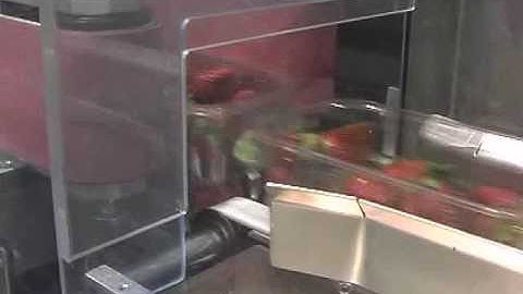 Flowpack Strawberries