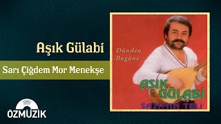 Aşık Gülabi - Sarı Çiğdem Mor Menekşe  Resimi