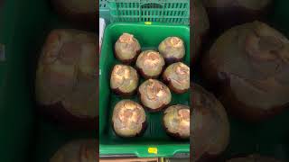 বাংলাদেশি কি কি সবজি লন্ডনে পাওয়া যায় এবং দাম কেমন ?