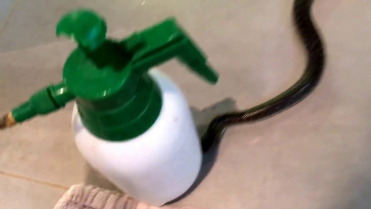 awesome oscillator Having Fun with a Pissed of Cobra