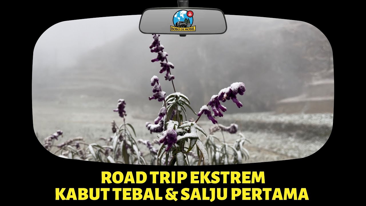 Et.3 Ep.89 | Road Trip GUIZHOU | Ekstrem! Kabut Tebal, Salju Pertama, Jembatan Tertinggi di Dunia