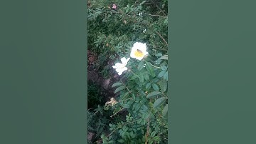 آيات  الله  في الكون عنيت المولئ بك أعظم من تخطيطك لنفسك  توكل عليه ثم نم مطمئنآ