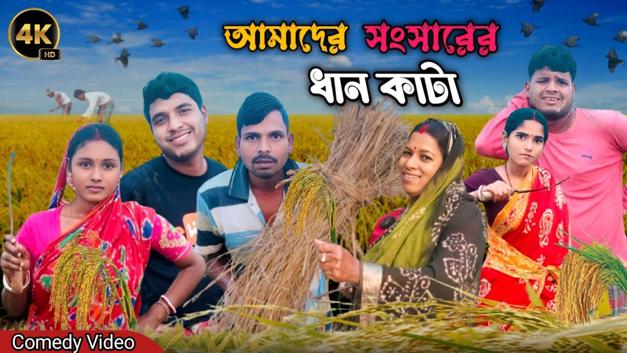 আমাদের সংসারের ধান কাটা 😂। ধান কাটা। বাংলা নতুন নাটক। সাগরের লাল্টুর কমেডি ভিডিও। ছোট্ট মেয়ে মাধবী