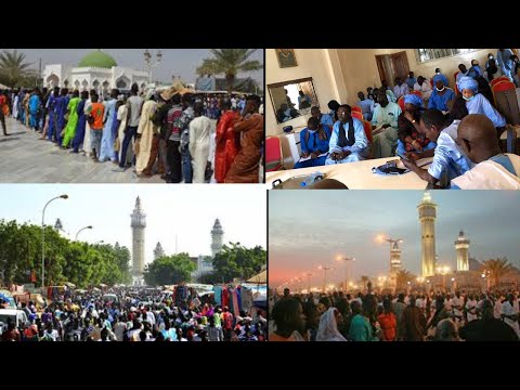 TOUBA - Préparation Magal 2020 :  Amna lou Sopee ku  ci niniou ko daan defee