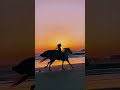 مشهد فتاة على ظهر خيل يجري عالشاطئ مع أغنية حرر هواك فالحب بات معلنا للتصميم مونتاج الطبيعة