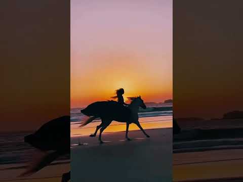 مشهد فتاة على ظهر خيل يجري عالشاطئ مع أغنية حرر هواك فالحب بات معلنا للتصميم مونتاج الطبيعة