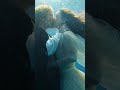 NESSUN DORMA | NIMENI NU DOARME | The Kiss | Sărutul - Art.1RO 🎷