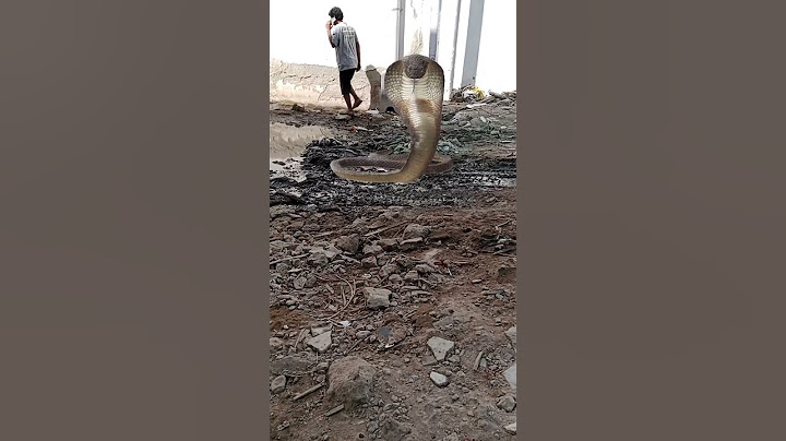 pairon ke niche saamp saamp a Gaye#snake
