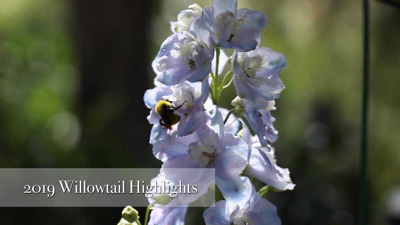 Willowtail Springs Nature Preserve and Education Center 2019 Highlights