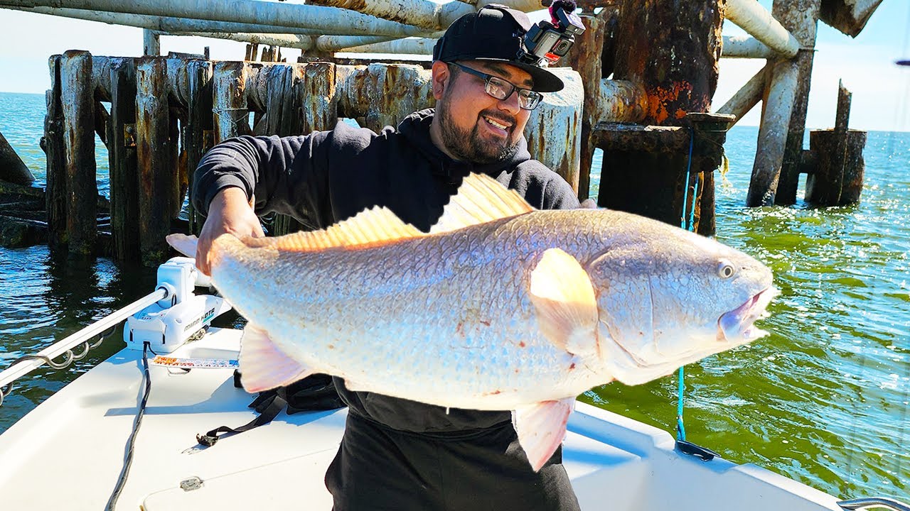 Offshore Oil Rig Fishing for Bull Redfish - YouTube