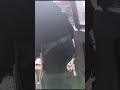 Надо всегда Помогать этим людям #russian #shortsvideo