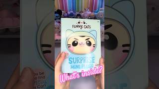 FUNNY CATS Surprise Mini Plush Collection blind box unboxing #unboxingvideo