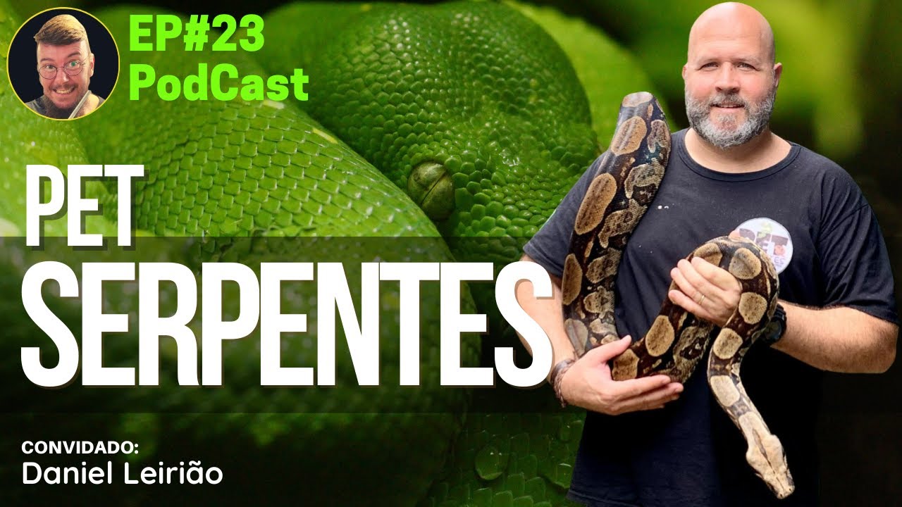 EP23 – Serpentes de Estimação com o Pet Serpentes #snake #snakes #jiboia