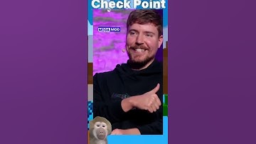 Mr Beast