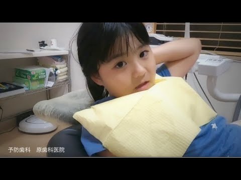 予防歯科｜原歯科医院【調布市・八雲台・布田駅】