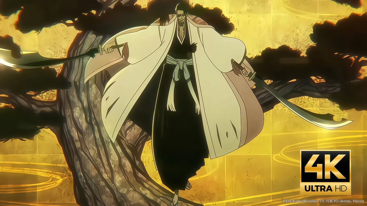 Shunsui Kyoraku Vs Lille Barro Full Fight 4k Bleach Thousand Year 