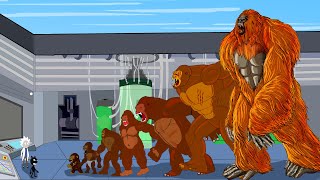 EVOLUTION OF KING KONG: Size Comparison| GODZILLA x KONG 2: The New Empire| Godzilla Cartoon