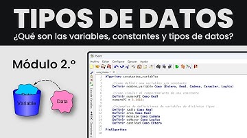 Cómo definir Variables y Constantes en PSeInt