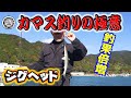 エサ釣りカマスの極意【釣果倍増計画】
