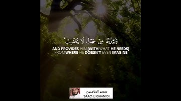 ومن يتق الله يجعل له مخرجا❤حالات واتس اب قران😌القارئ سعد الغامدي💙اجمل حالات واتس  دينية/تلاوة موثرة