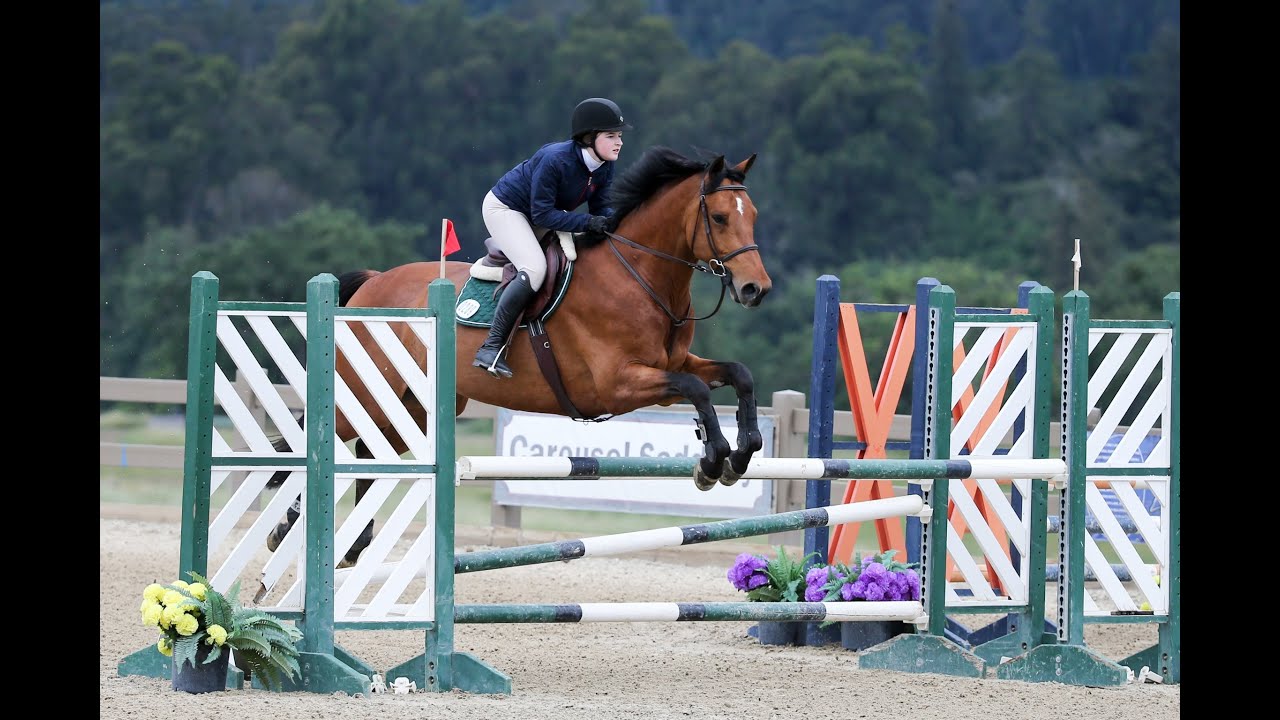 Naomi Rubin and Win Vision, Jump Off, $200 1.05m Ch/AA Stake