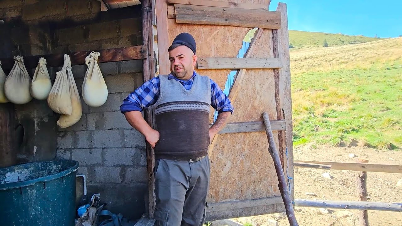 ГИКА ИЛИЕСКУ, МОЛОДОЙ ПАСТУХ СО СТАДОМ В ГОРАХ БУЧЕДЖЬ. БЛАГОДАРЯ БОЛЬШИМ АМБИЦИЯМ ОН ДОБИЛСЯ ПРЕ...