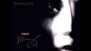 This Mortal Coil - Morning Glory chords