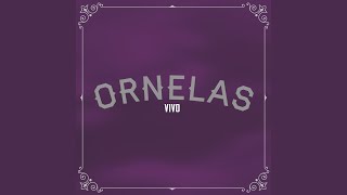 Video thumbnail of "Raul Ornelas - Mi Media Sandia"