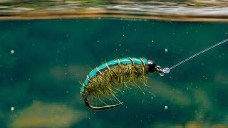 Flashback Olive Gammarus Nymph. #flytying #flyfishing #nymphs #troutfly #Bestfly #graylingflies