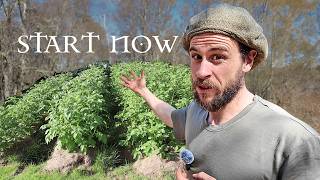 4 Simple Steps to Build Food Resilience (Even in a Scottish Woodland)