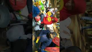 Camping dibawah pohon pinus