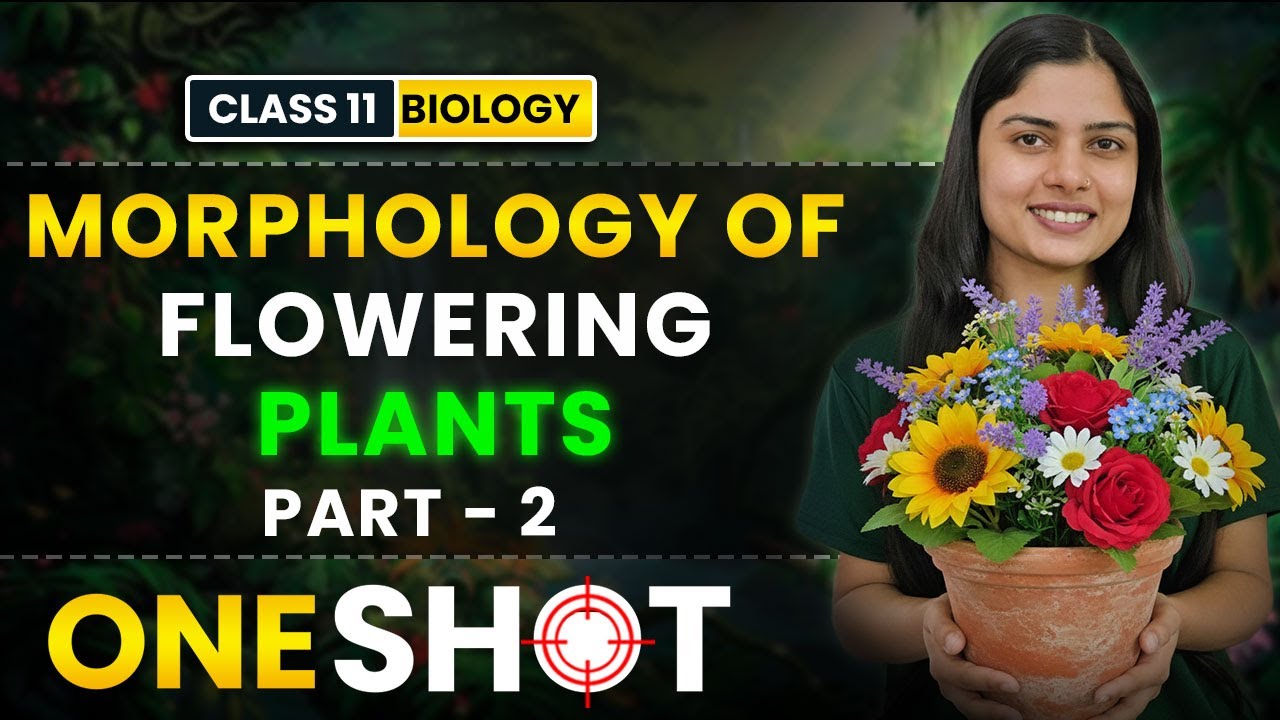Morphology in Flowering Plants FULL CHAPTER IN ONE SHOT | CBSE Class 11 ...