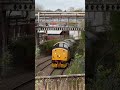 Loram 37508 passing under WBQ #shorts #trains #class37 #diesellocomotive #ukrailways