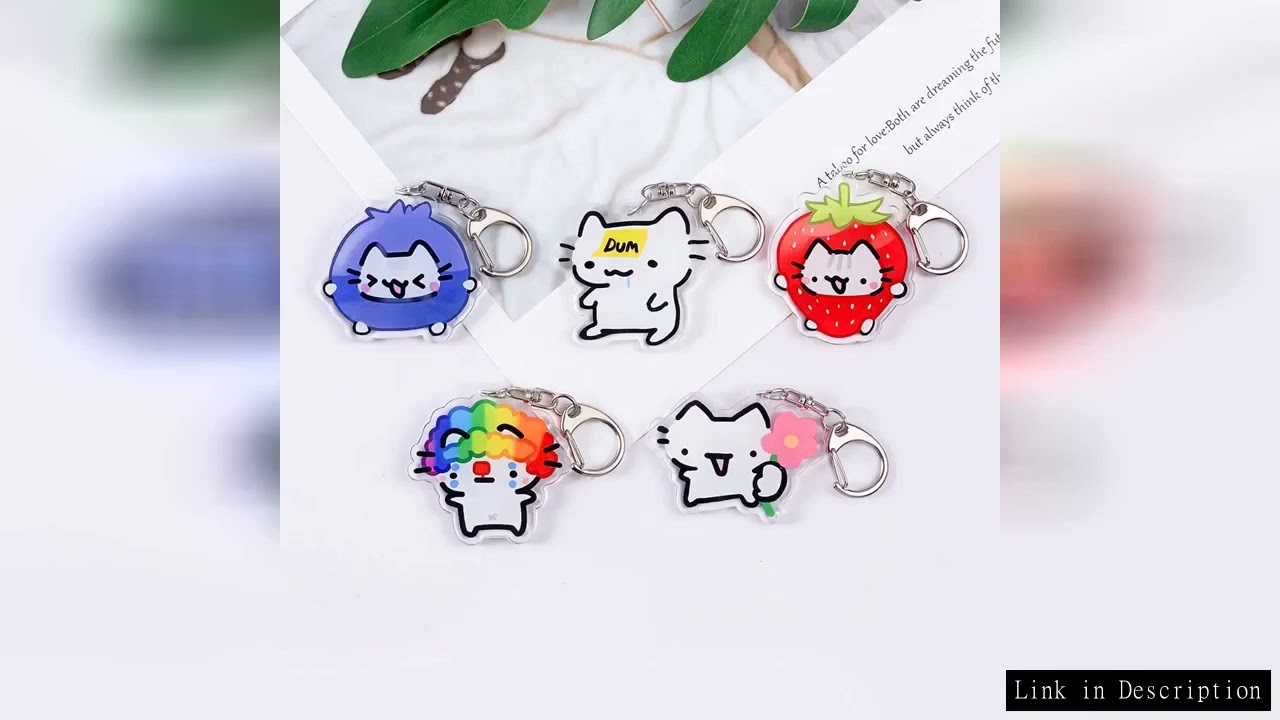 Line Cat Cute Acrylic Car Keychain Accessories Funny Bag Charm Backpack Pendant Double-sided Pattern