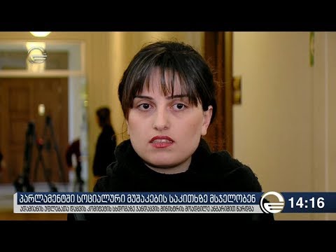 პარლამენტში სოციალური მუშაკების საკითხს განიხილავენ  ასანიძე ჩართვა