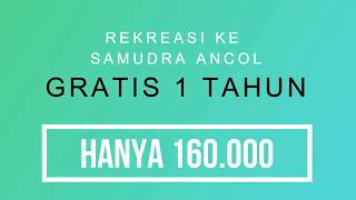 Samudra Ancol : Belajar dan Bermain bersama Lumba-Lumba