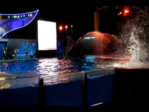 Seaworld - December 2010.mpg - YouTube