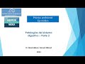 Fisiopatología y terapéutica general: Hepatitis - Cirrosis - Colecistitis