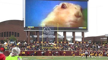 Dramatic Gopher at Gopher Football