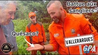 CHASSE SANGLIER : Chasse entre copains