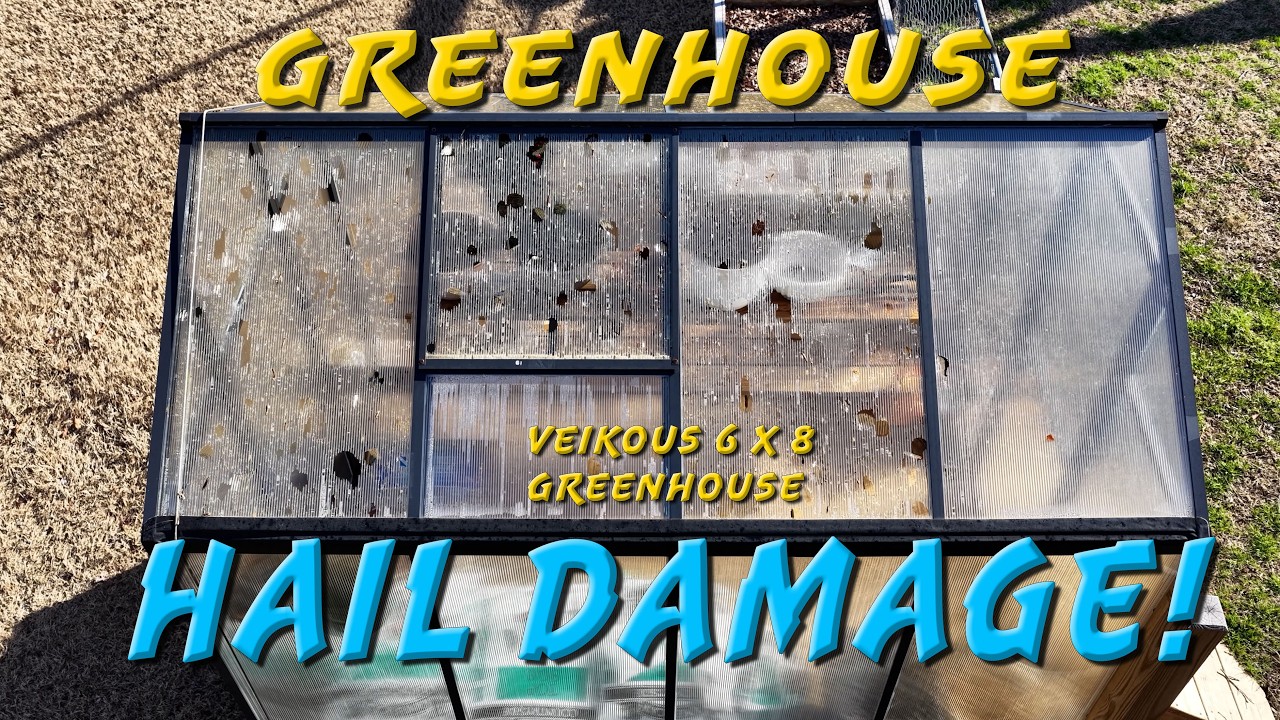 Greenhouse Hail Damage! (Veikous 6x8 Kit) - YouTube